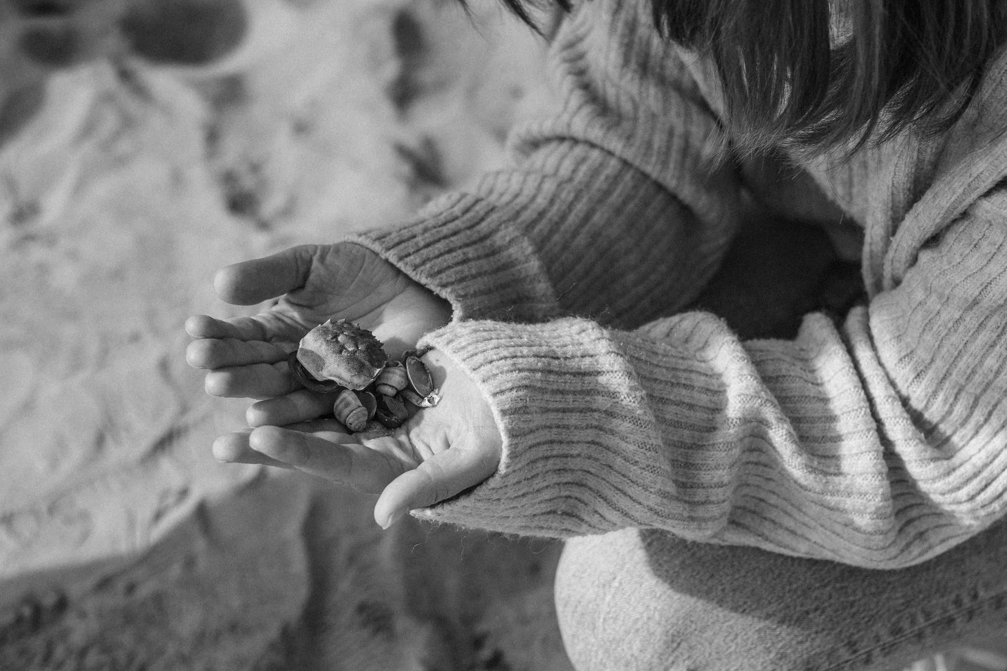 Familienshooting Hamburg, Familienfotos Rostock, Familienfotograf Rostock, Familienfotograf Hamburg, Fischbeker Heide, Familienfotos Rostock, Familienshooting Rostock, Familienshooting Elbstrand, Familienfotos draußen