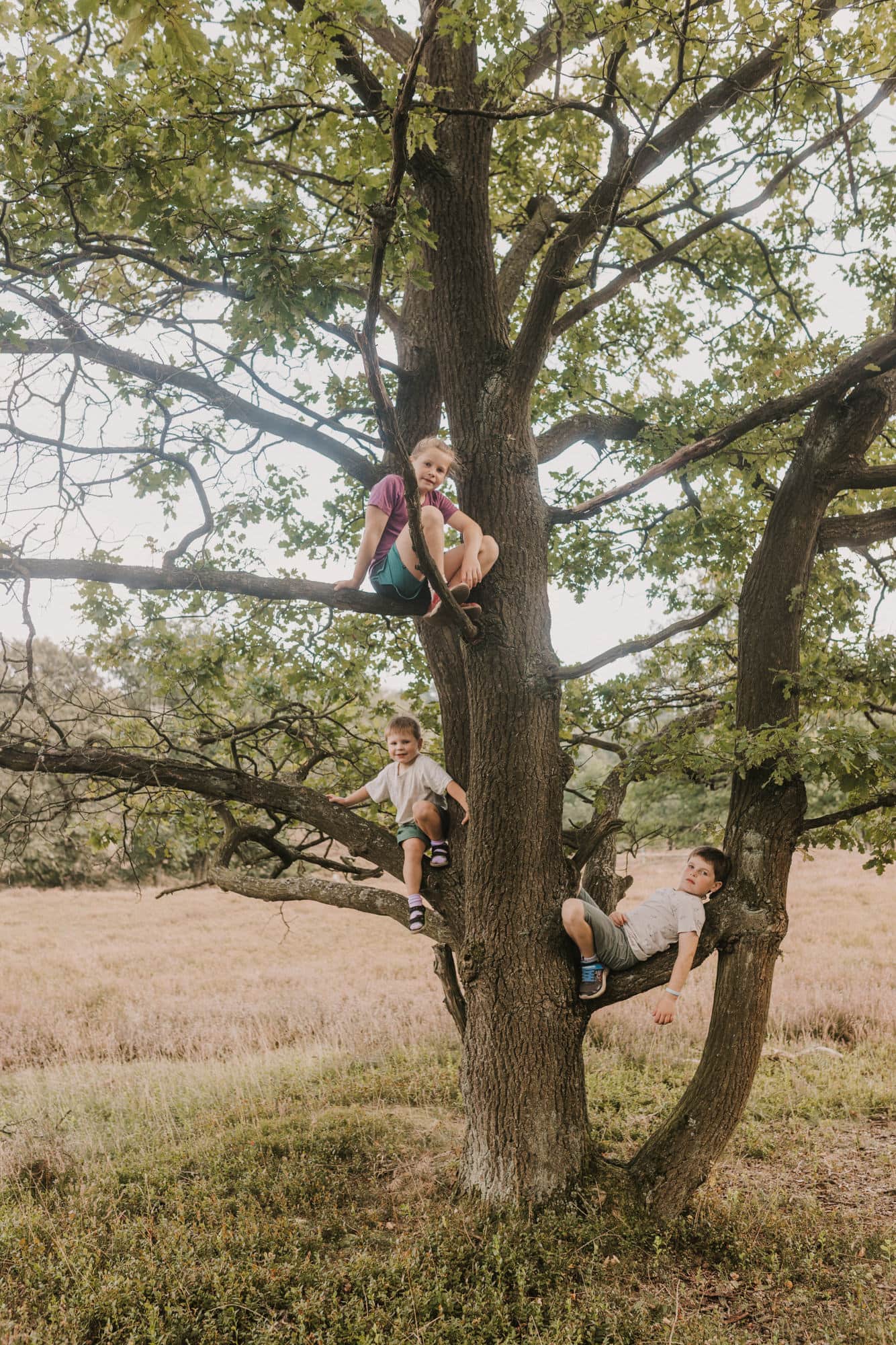 Familienshooting Hamburg, Familienfoto Hamburg, Familienfotograf Hamburg, Familienfotos draußen, natürliche Familienfotos, Familienbilder in der Fischbeker Heide, Familienfotografin Hamburg