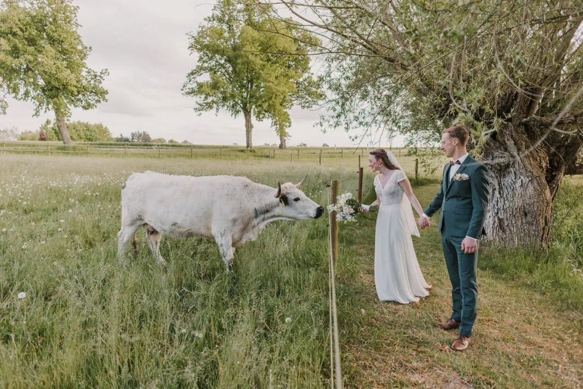 Hochzeitsfotos Ruegen, Hochzeitsfotograf Binz, Kap Arkona, Hochzeitsfotograf Sellin, Hochzeitsfotograf Goehren, Putbus, Hochzeit Fotos Ruegen, Hochzeitsfotograf Ruegen, Hochzeitsfotografin Ruegen, hochwertig, Rostock, Ostsee, Strand, Mecklenburg Vorpommern, Hochzeitsfotografie Ruegen, Hochzeitsbilder Ruegen, fotograf hochzeit binz, fotograf hochzeit ruegen, fotograf ruegen , hochzeitsfotografin ostsee, Brautpaarfotos,, heiraten in MV, an der Ostsee heiraten, heiraten muether Turm